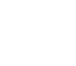 ICON WINZER ACADEMY